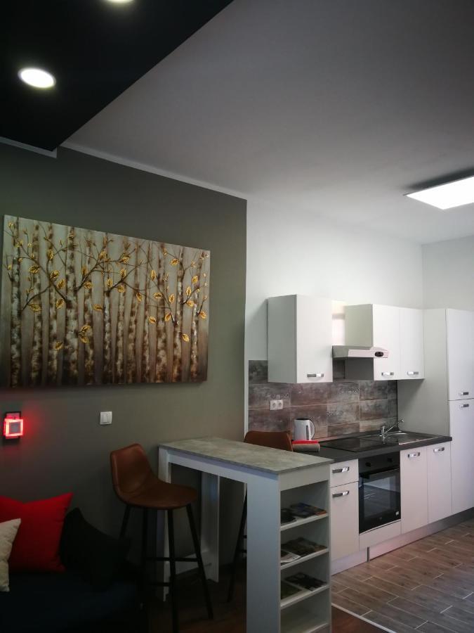 Griva Studio Apartman Задар Екстериор снимка
